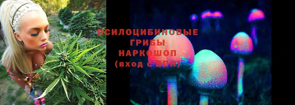 шишки Пересвет