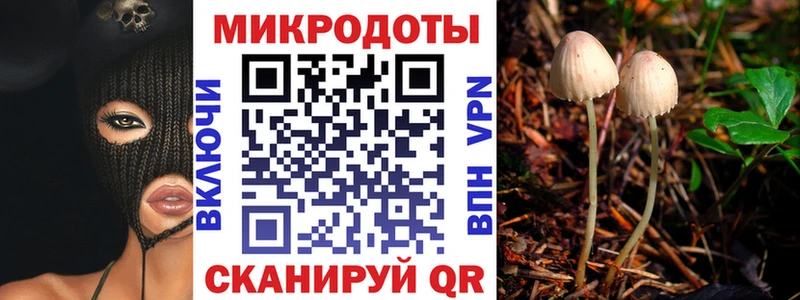Галлюциногенные грибы Psilocybe  Вилюйск 